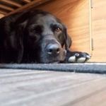 Benjamin Hadley - @benjamin.hadley - Instagram