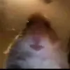 benjamin hadley - @benjamin.hadley - TikTok