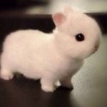 Benjamin Hadley - @mr.potatoman10 - Instagram