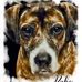 Benjamin Haggerty - Facebook