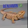 Benjamin Haigh - @benjaminhaigh - TikTok