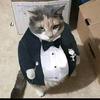 benjamin_hailey - @benjamin_hailey - TikTok