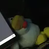 Benjamin🦥 - @benjamin.said.ohh.hi - TikTok