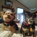Ben Hamlett - Facebook