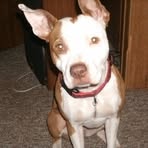 Benjamin Hank - Facebook