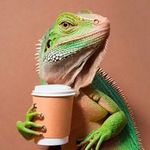 Benji Banjo - @_benjamin_hannan_ - Instagram