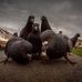 Benjamin Hanna - Facebook