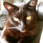 Robert Benjamin-Hardie - @robertbenjaminhardie - Instagram