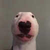 Benjamin Hardman - @benjaminhardman1 - TikTok