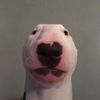 Benjamin Hardman - @benjaminhardman1 - TikTok