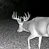 Benjamin🦆🦃🦌🎣 - @benjamin.hardy02 - TikTok