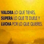 Benjamin Haro Moncada - @benjamin.haro - Instagram