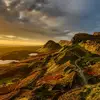 Manuel Manuel - @benjaminharold.29_3_19 - TikTok