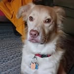 Benjamin Andrew Harrell - @benjamin_a._harrell - Instagram