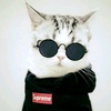 Benjamin Harry - @benharry1404 - TikTok