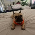 Benjamin Hartley - @benhartley34 - Instagram