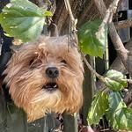 Benjamin Hartman - @benhart.s - Instagram