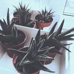 Benjamin Hartman - @benjaminhartman15 - Instagram