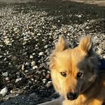 Benjamin Brook Hartranft the fucking third - @m_egabear - Instagram