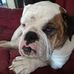 Benjamin Hartranft - Facebook