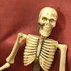 ✨💖💀Benjamin💀💖✨ - @benjamin_the_skelly - TikTok