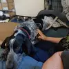 Ben Haskins - @ben.haskins - TikTok