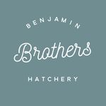 Benjamin Brothers Hatchery - @benjamin_brothers_hatchery - Instagram