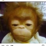 Benjamin Semback - @benjamin_hattesen - Instagram