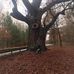Benjamin Hauser - Facebook
