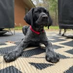 Benjamin J. Haven - @benny_thegsp - Instagram