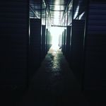 Benjamin Hawk - @hawk_benjamin - Instagram