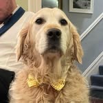 Benjamin Heard - @benjaminheard3 - Instagram