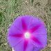 Benny Hedgepeth - Facebook