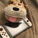 Hedgeizfresh - @benjamin.hedgepeth - Instagram
