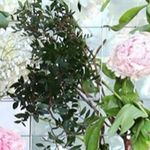 Benjamin Hedlund - @benjaminhedlund_ - Instagram
