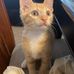 Benjamin Hedrick - Facebook