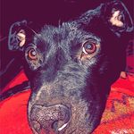 Benjamin Heeren - @bigbadbenjy - Instagram