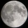 Benjamin Heeren - @benjamin.heeren - TikTok