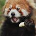 Benjamin Herzke - Facebook
