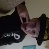 Benjamin hemsley - @bbox2017 - TikTok