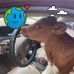 Benjamin Henke - Facebook