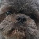 BenjaminHenning - @benjaminhenning666 - Instagram