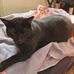 Benjamin Hering - Facebook