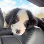 Benjamin Herman - @benjamin_herman__ - Instagram
