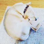 Benjamin Hoffman - @benjaminhoffman468 - Instagram