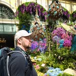 Benjamin Hoppe - @benjamin_hoppe_ - Instagram