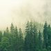 Benjamin Hoppe - Facebook