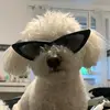 Benjamin Hoppe - @mr.samsebamse - TikTok