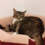 Hoppe Benjamin - @hoppe.benjamin.7 - Instagram