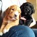 Benjamin Horsfall - Facebook